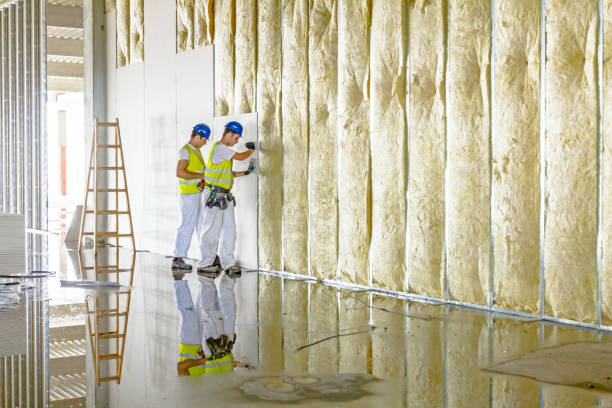 Insulation Replacement Services in Alabaster, AL